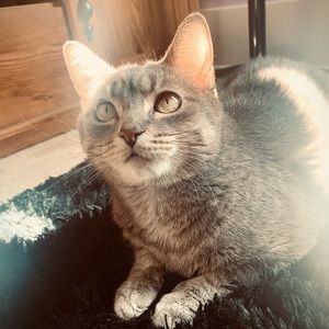 Meet your Posher, Jade